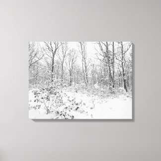 Lienzo Árboles nevados en los Poconos