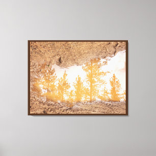 Lienzo Árboles reflectando en agua de charco de barro llu