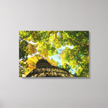 Árboles verdes y amarillos naturales