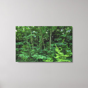 Lienzo Árboles y arbustos