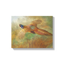 Archibald Thorburn Pheasant Flying Bird