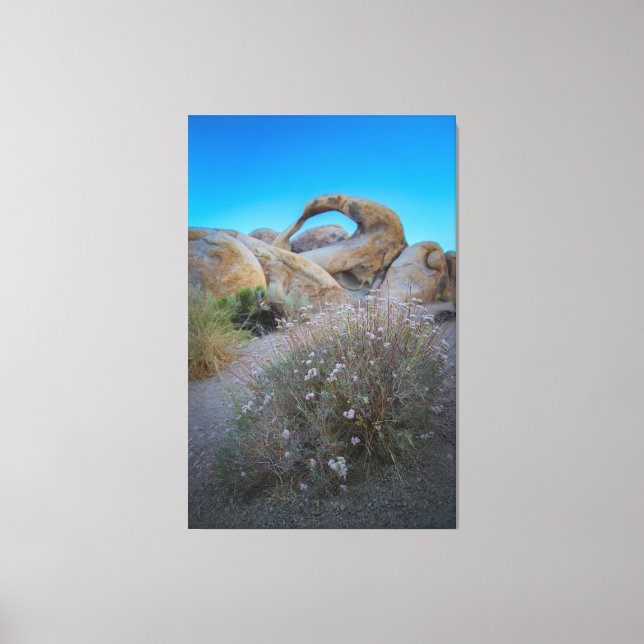 Lienzo Arco de las colinas de Alabama (Anverso)