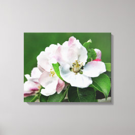 Lienzo Arco mural de canvas de primavera en un árbol de m