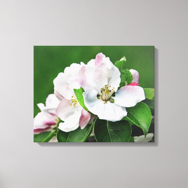 Lienzo Arco mural de canvas de primavera en un árbol de m (Anverso)