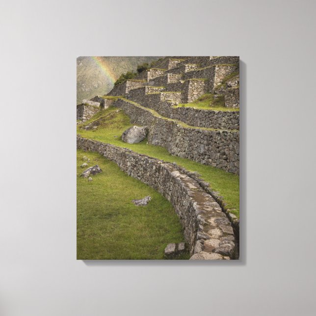 Lienzo Arcoíris sobre las terrazas agrícolas, Machu (Anverso)