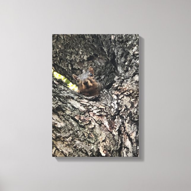 Lienzo Ardilla (Anverso)