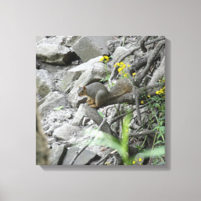 Lienzo Ardilla a lo largo de una ribera (Anverso)