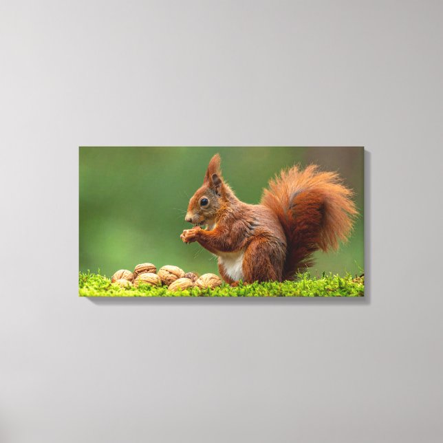Lienzo Ardilla Comiendo Nueces (Anverso)