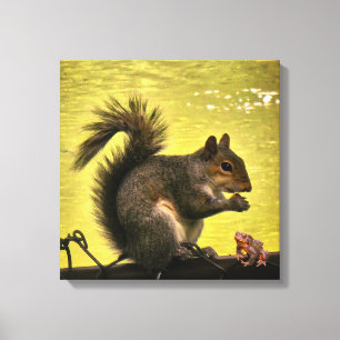 Lienzo ardilla gris oriental (Sciurus carolinensis)