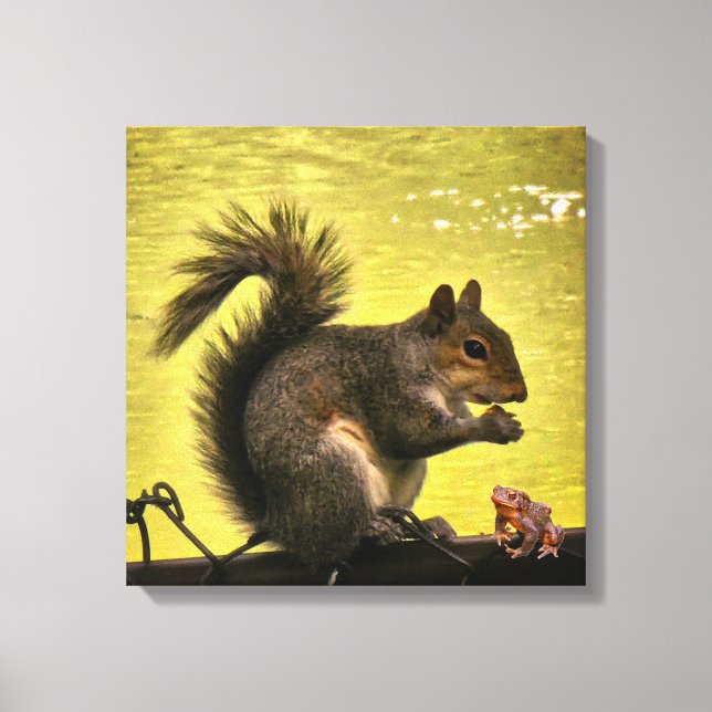 Lienzo ardilla gris oriental (Sciurus carolinensis)  (Anverso)