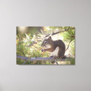 Lienzo Ardilla que come un cono del pino