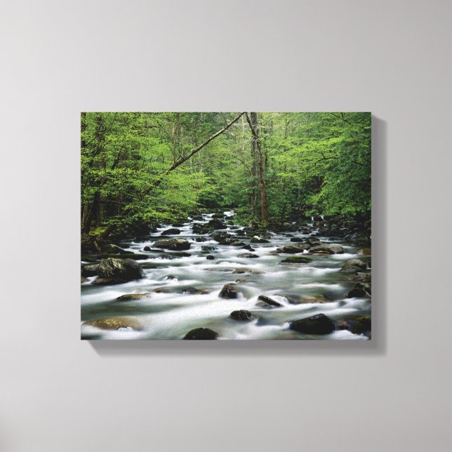 Lienzo Área de Greenbrier, Great Smoky Mountains (Anverso)