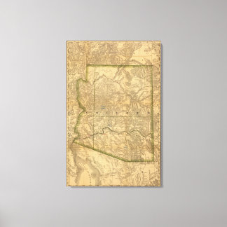 Lienzo Arizona de Rand McNally