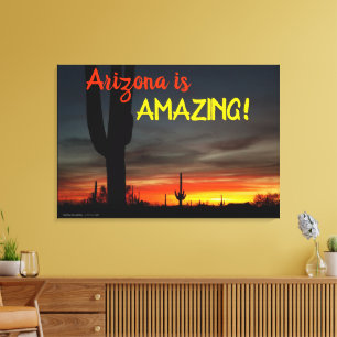 Lienzo "¡Arizona es asombrosa!" Cactus del desierto de So