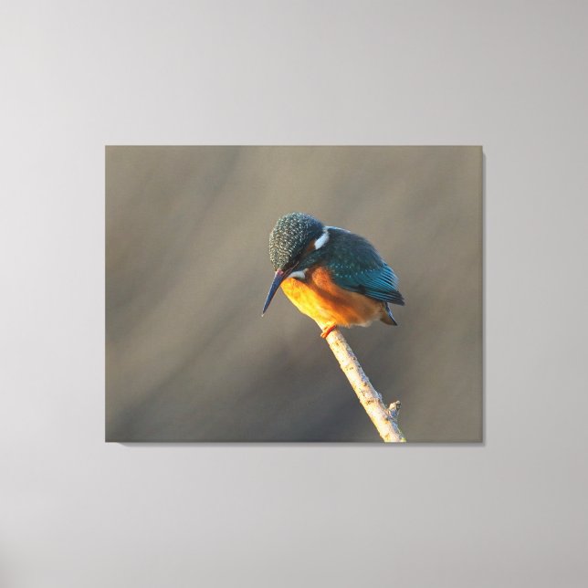 Lienzo arquero (Anverso)