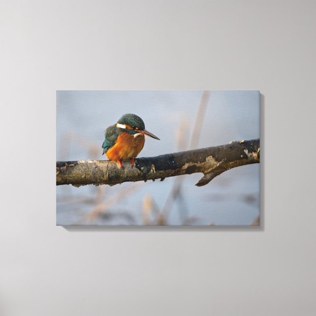 Lienzo arquero (Anverso)