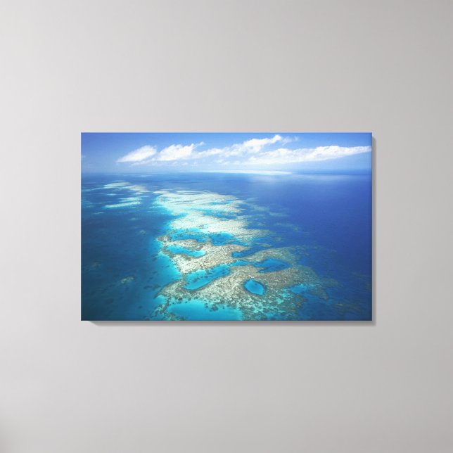 Lienzo Arrecife de la lengua, Parque Marino Gran Barrera  (Anverso)