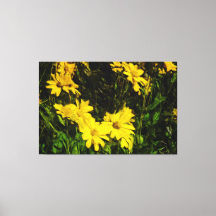 Lienzo Arrowleaf Balsamroot Flor silvestre amarillo Resum