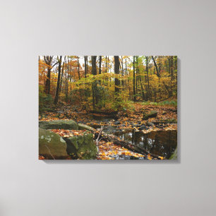 Lienzo Arroyo Fall Creek con reflejo en el parque Laurel 