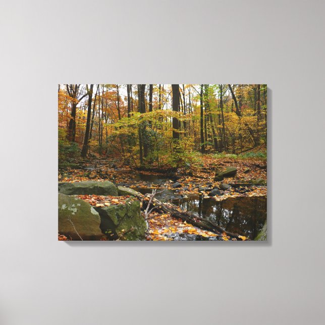 Lienzo Arroyo Fall Creek con reflejo en el parque Laurel  (Anverso)