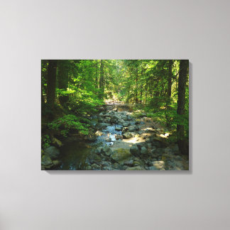 Lienzo Arroyo Laughingwater en el Parque Nacional Mount R