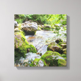 Lienzo Arroyo Musgoso de Montaña – Río de Bosque Prístino