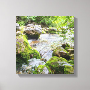 Lienzo Arroyo Musgoso de Montaña – Río de Bosque Prístino