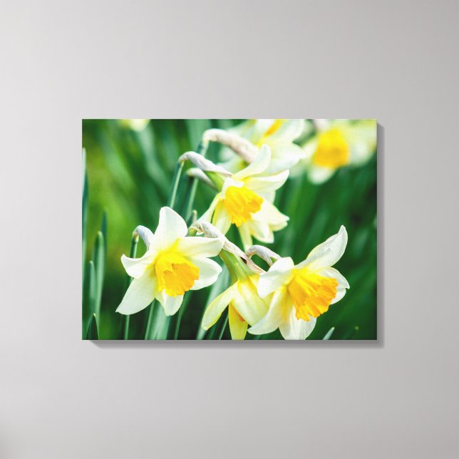 Lienzo Art-Daffodils de lona (Anverso)