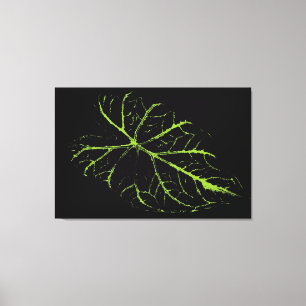 Lienzo Art Leaf Autumn
