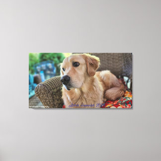 Lienzo Arthur, septiembre 2025