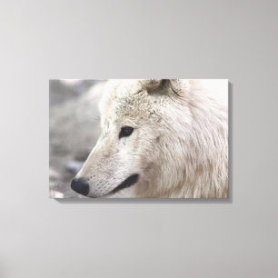 Lienzo Artic Wolf Lovers