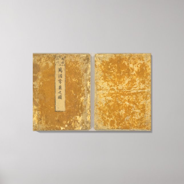 Lienzo Asia 46 (Anverso)