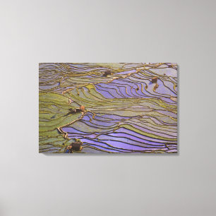 Lienzo Asia, China, provincia de Yunnan, Yuanyang. Inunda