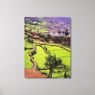 Lienzo Asia, China, Yunnan, Honghe. Terrazas de arroz cer