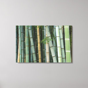 Lienzo Asia, Japón, Kioto, Arashiyama, Sagano, Bambú