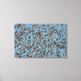 Lienzo Asombrosos pollos de invierno en el vuelo