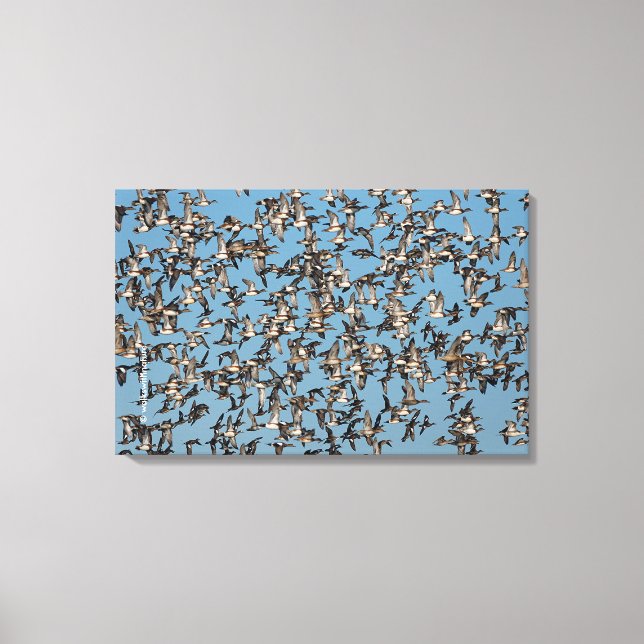 Lienzo Asombrosos pollos de invierno en el vuelo (Anverso)