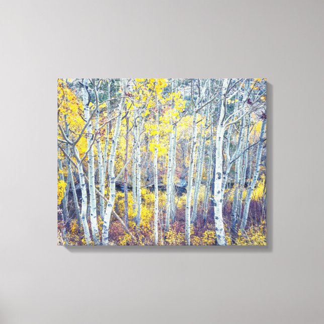 Lienzo Aspen Grove (Anverso)
