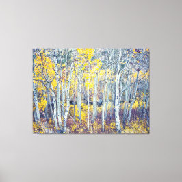 Lienzo Aspen Grove