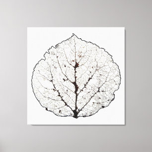 Lienzo Aspen Leaf Skeleton 1