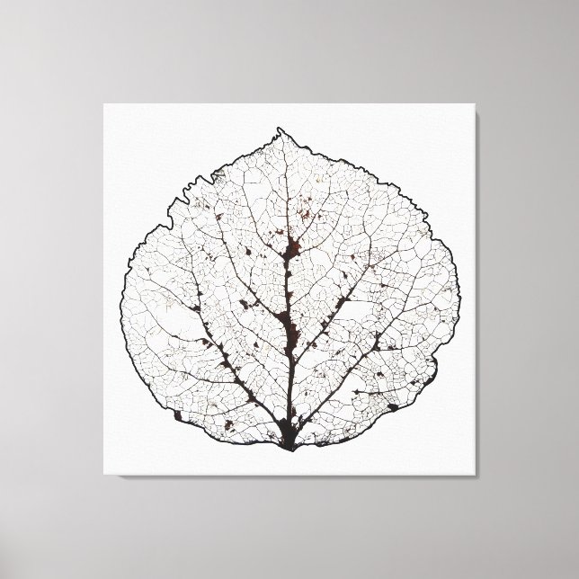 Lienzo Aspen Leaf Skeleton 1 (Anverso)