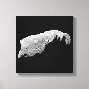 Lienzo Asteroide 243 Ida