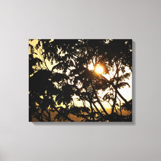 Lienzo Atardecer a través de árboles en fotografía tropic