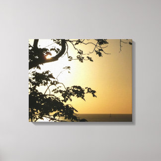 Lienzo Atardecer a través de árboles II Fotografía tropic