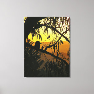 Lienzo Atardecer australiano Silueta de cucaburra envuelt