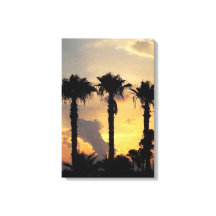 Atardecer chipriota de Limassol – Palmeras mediter