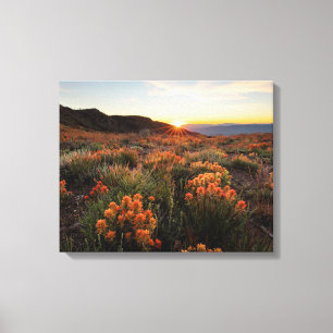 Lienzo Atardecer en las montañas Wyoming de pincel indio