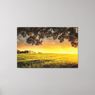 Lienzo Atardecer en un paisaje rural