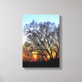 Lienzo Atardecer Por Los Árboles