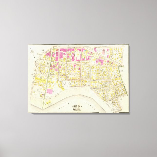Lienzo Atlas de Cambridge 11 (Anverso)